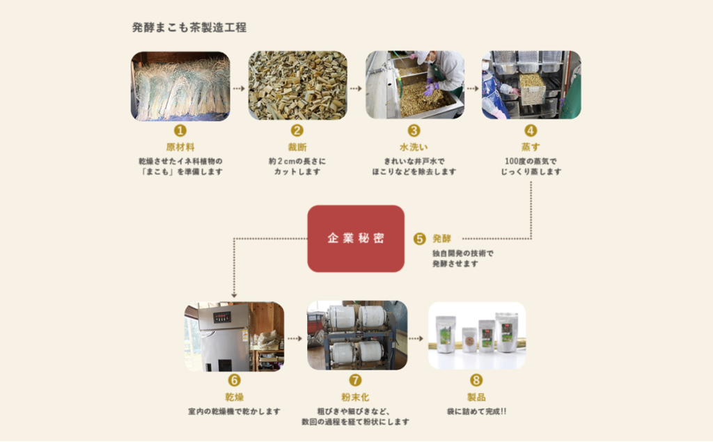 サンマコモの発酵マコモ製造過程